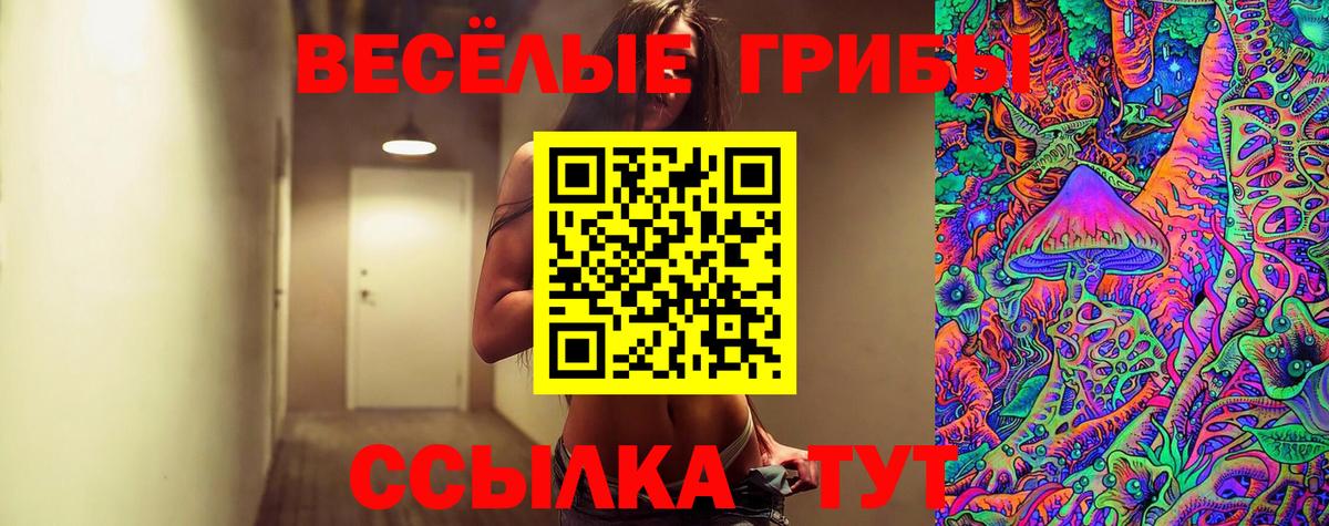 Галлюциногенные грибы MAGIC MUSHROOMS  Вход с VPN  Нягань  Галлюциногенные грибы GOLDEN TEACHER 
